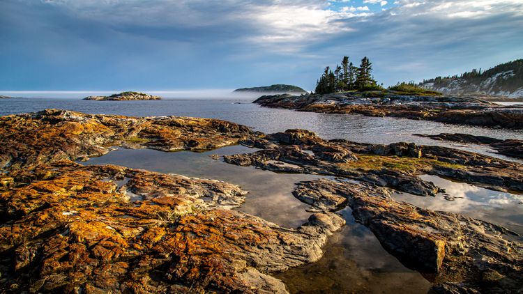 Offre d'emploi chargé de recherche